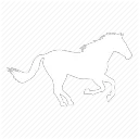 Ma Dai Ca avatar