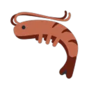 Shrimp avatar