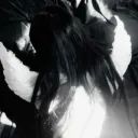 xdxd avatar