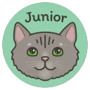 Junior the Cat avatar