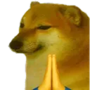 Wallpapers 24/7 avatar