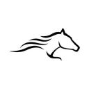 Equestrian-League avatar