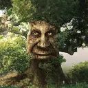 Wise Mystical Tree avatar