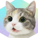 Meow Bot avatar