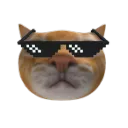 Cat Bot avatar