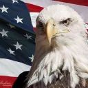 Freedom Bot avatar