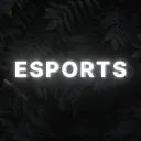 BCFA Esports avatar