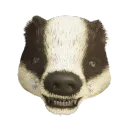 Badger avatar
