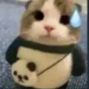 Patrixx avatar
