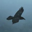 Huginn avatar