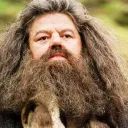 Hagrid avatar
