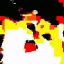 koko avatar