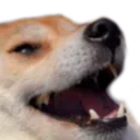 KESKIDI avatar