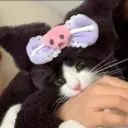 Catilly avatar