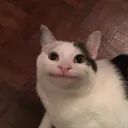 Swasd Restoration avatar