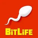 Bitlife avatar