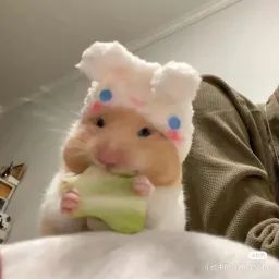 ikaliexz.124 avatar