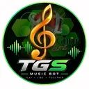 TGS Music avatar