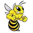 beetle avatar