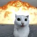 KITTAYYYYYYYY avatar
