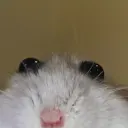 BubblegumJimy avatar