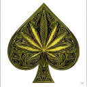 Ace avatar
