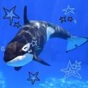 whale avatar