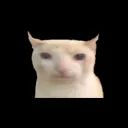CatAI avatar