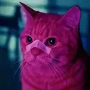 Penk Bot avatar