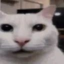 Uncanny Cat Golf avatar