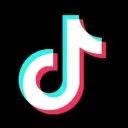 tiktok downloader avatar