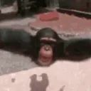 Monke BOT avatar