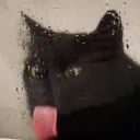 God Like AI - GLAI avatar