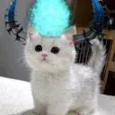 .dot avatar