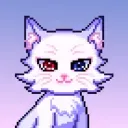 Shiro avatar