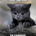confession avatar