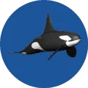 OrcaArt avatar