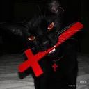 vexel avatar