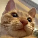 e-sports avatar