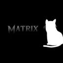 Matrix avatar