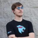 Anti MrBeast Scam avatar