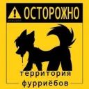 《Furry_secruity》 avatar
