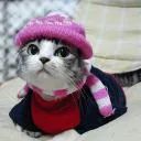 마냥 avatar