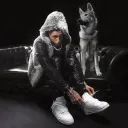 .fmbot avatar