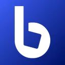 BloxBot avatar