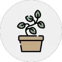 Bloom avatar