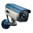 Security avatar