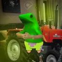 Ensi avatar