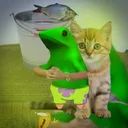 Ensi avatar
