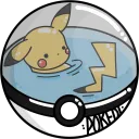 Pokedi avatar